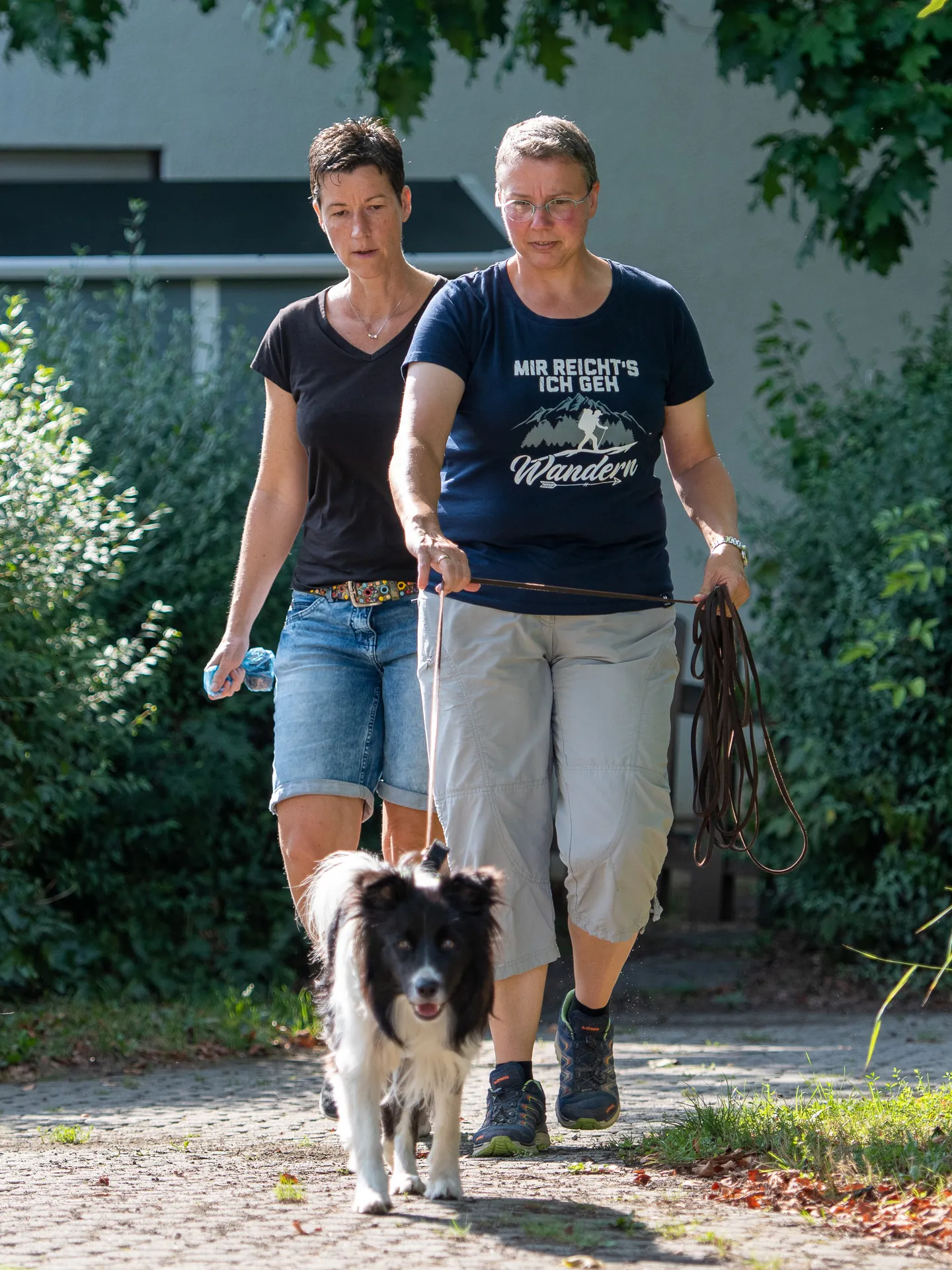 Mantrailing Personensuche Hundetraining